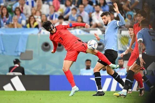 1669362316271026864.jpg 5243fbf2b2119313cc1eafb0504c43dc90238dd4.webp.jpg